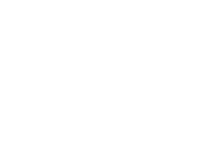 Salguero Elite 2 logo